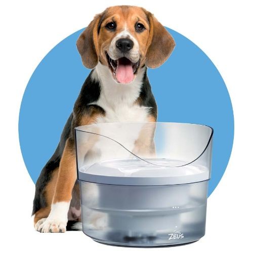 01249027fc6325d3d62e9d31e95187cd