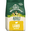 James Wellbeloved Adult with Lamb and Rice 2kg