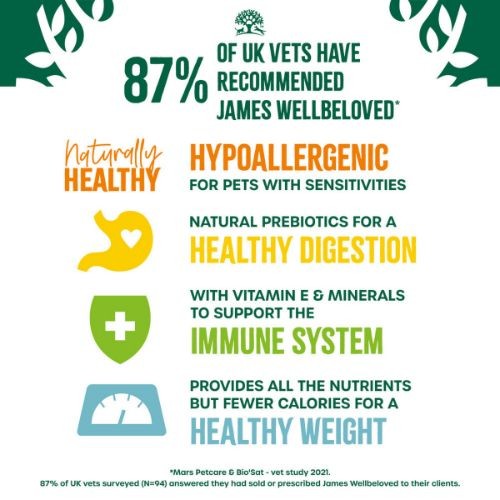 bec96c24ee35c0cc0da37a6c87057c96