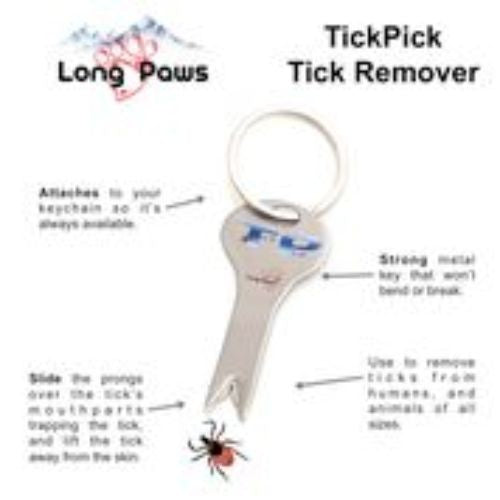 53cbb6b4945a4e8351df0d9e2a15f737