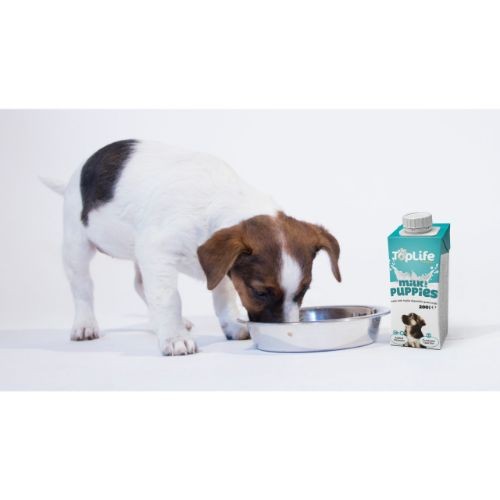 Feeding cow discount milk to puppies