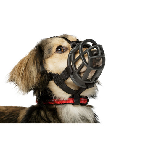 1323cc097685d86cd3fc3a1f4f06e384