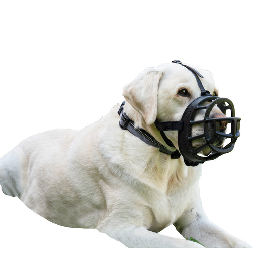 Company of animals baskerville rubber sales ultra muzzle