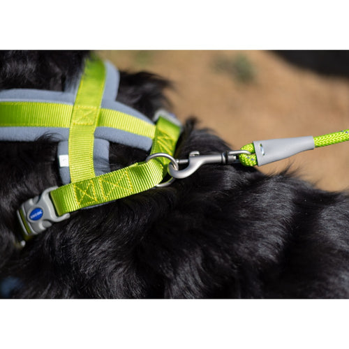 f7e2e9f27e4b0e68145ab5743cf4f92c