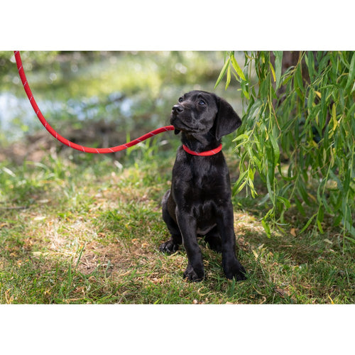 4a5e4a79c4e4933a7dc22ae1c6e4be85