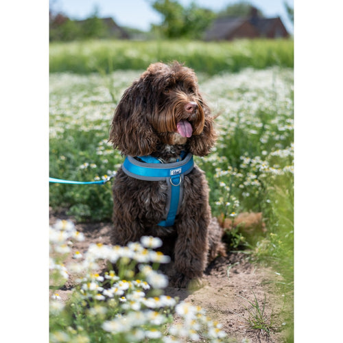 3adfaff53b2a317ec1b820ffc200b2bb