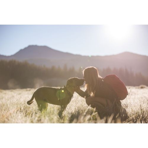 3fa75144901f934c3b600e197975addd