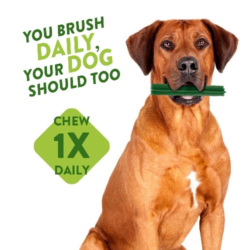 559bd35d16b4280b0385b7f7d332aa6b