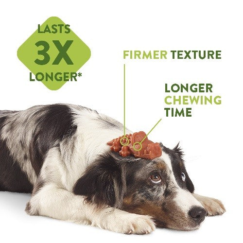 b2666882ecf2534c491114d66afd0c7e