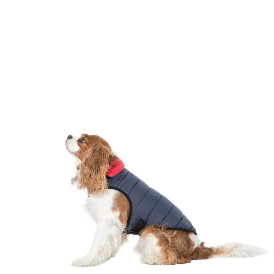 Trespaws dog coat sales
