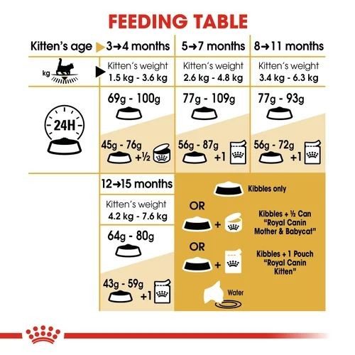 Royal canin maine deals coon 2 kg