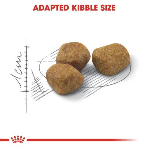 Indoor senior hot sale cat food