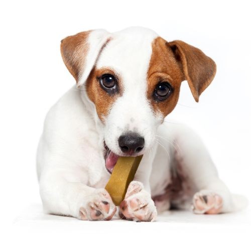 cd7dab69b2bb01b12690f36319f9f429